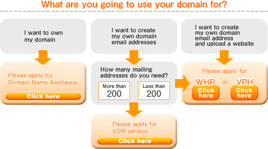 What are you going to use your domain for?